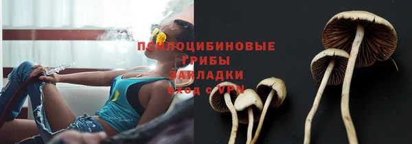 крисы Лихославль