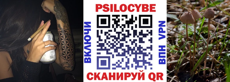 где найти Цоци-Юрт Галлюциногенные грибы мицелий