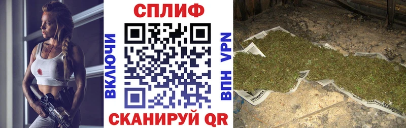где продают наркотики  Цоци-Юрт  Конопля ГИДРОПОН 
